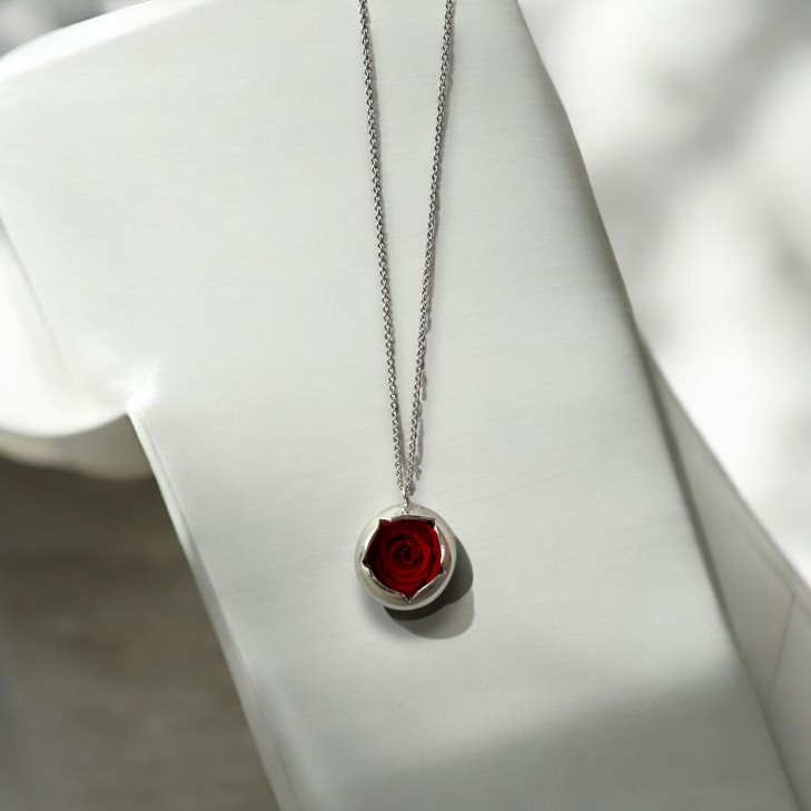 copy of Silver Necklace - Moon with preserved natural rose