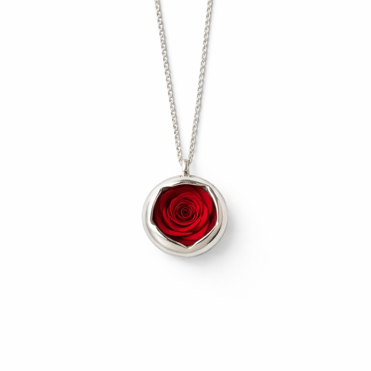 copy of Silver Necklace - Moon with preserved natural rose