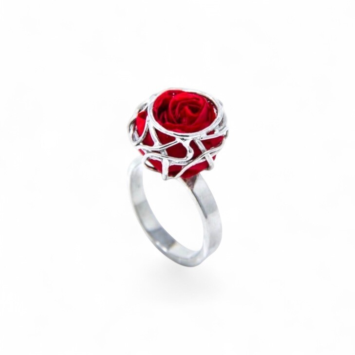 Silver Ring - Nest with preserved natural rose