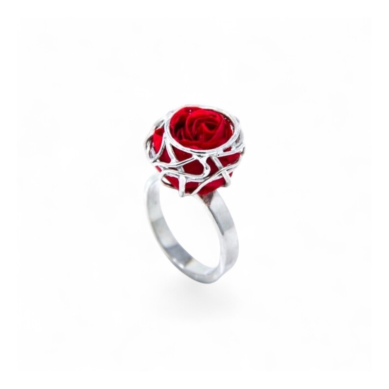 Silver Ring - Nest with preserved natural rose