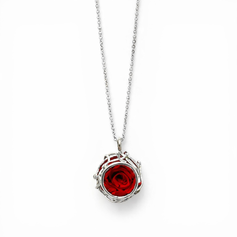 Silver Necklace - Nest with preserved natural rose