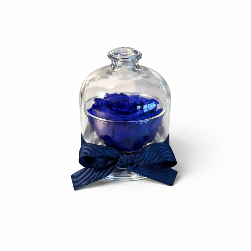 Cloche - Dome with a blue rose