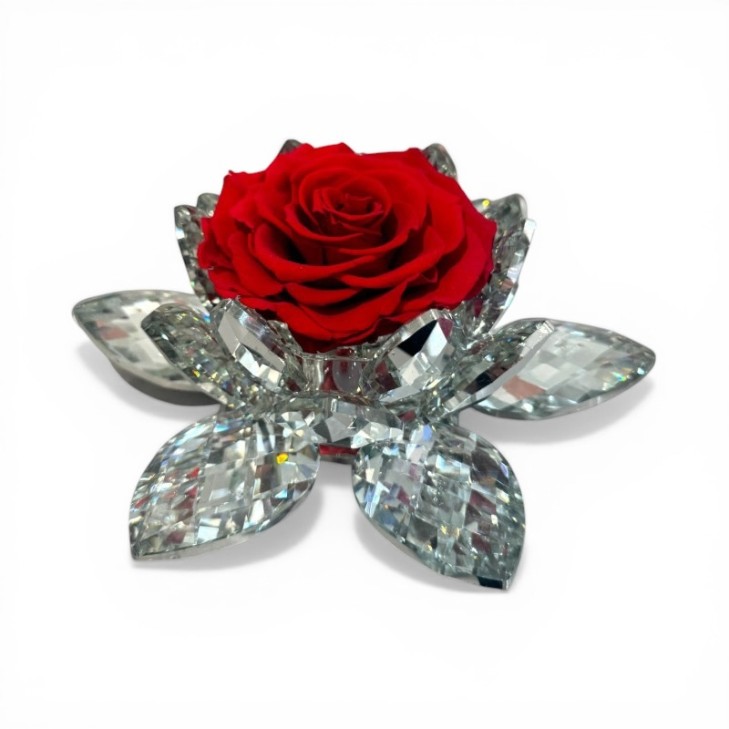 White Lotus – Lustrous Crystal red rose