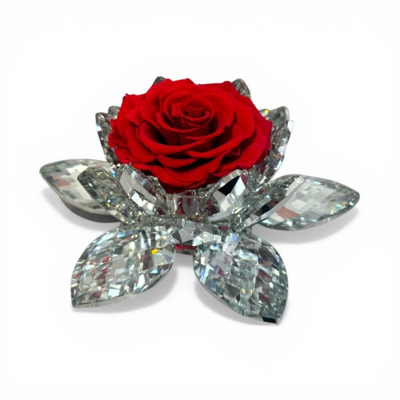 White Lotus – Lustrous Crystal red rose