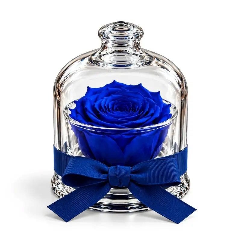 Cloche - Dome with a blue rose