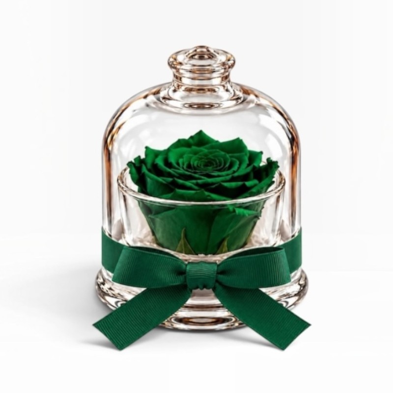 copy of Cloche - Dome with a red rose