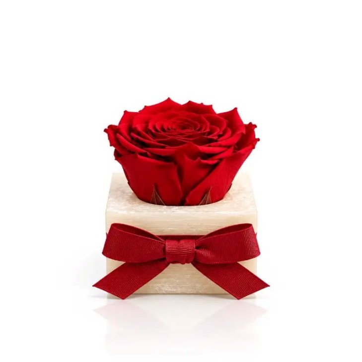 Ivory-Colored Scented Wax Uffizi - Red Flowers