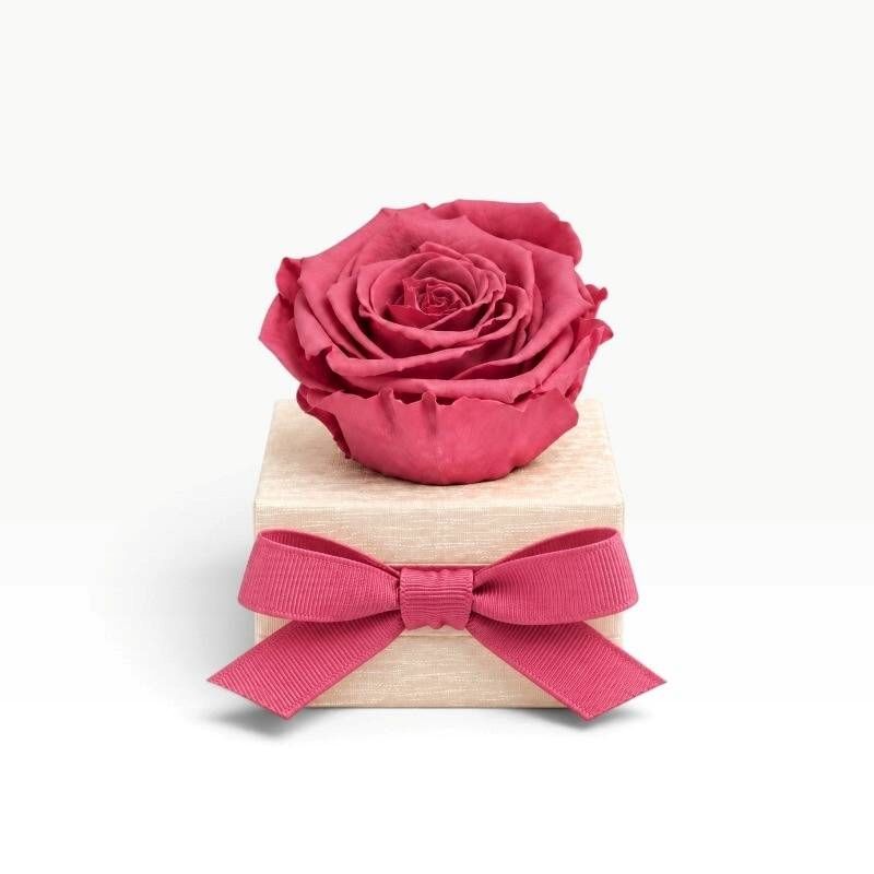 copy of Ivory-Colored Scented Wax Uffizi - Red Flowers