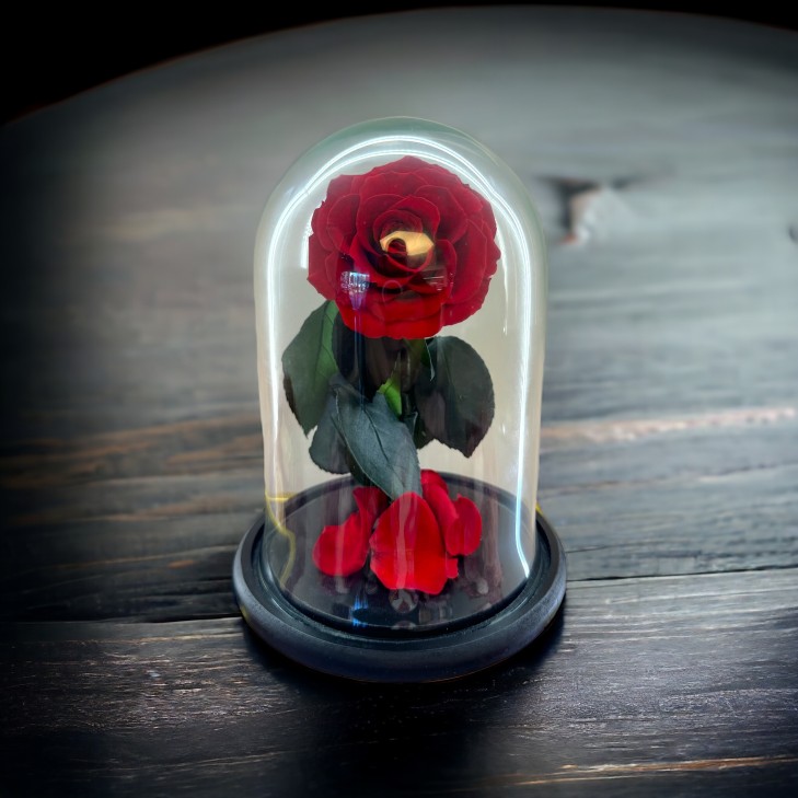Belle - Glass Dome with stemmed red roses