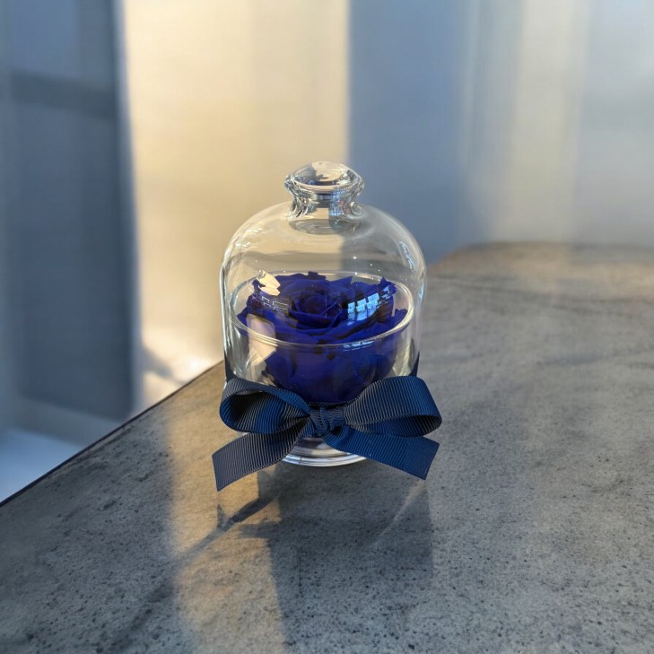 Cloche - Dome with a blue rose