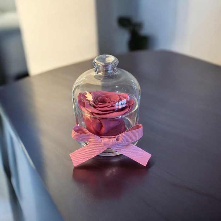 Cloche - Dome with a burgundy rose