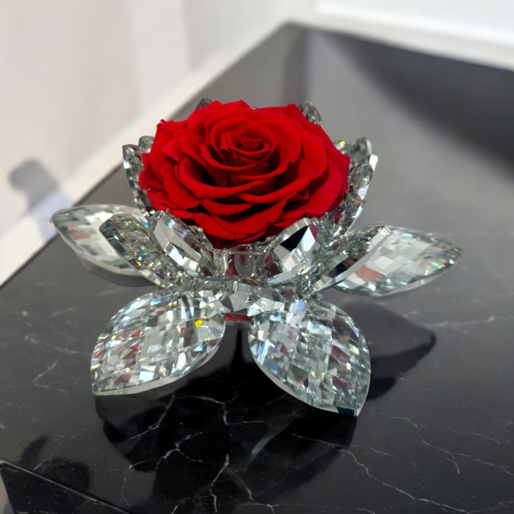 White Lotus – Lustrous Crystal red rose