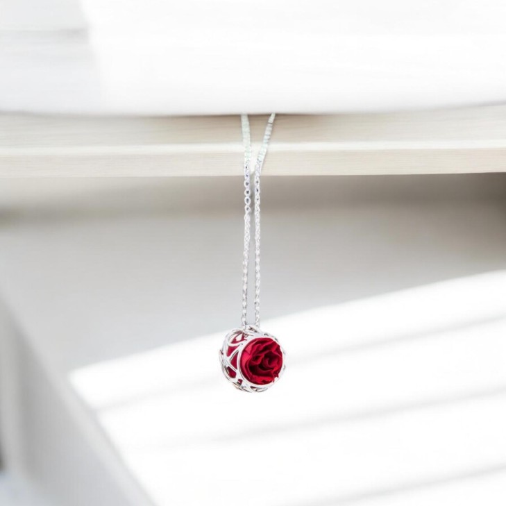 Silver Necklace - Nest with preserved natural rose
