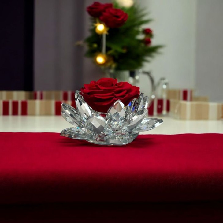 White Lotus con rosa rossa 02