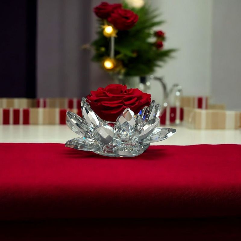 White Lotus con rosa rossa 02