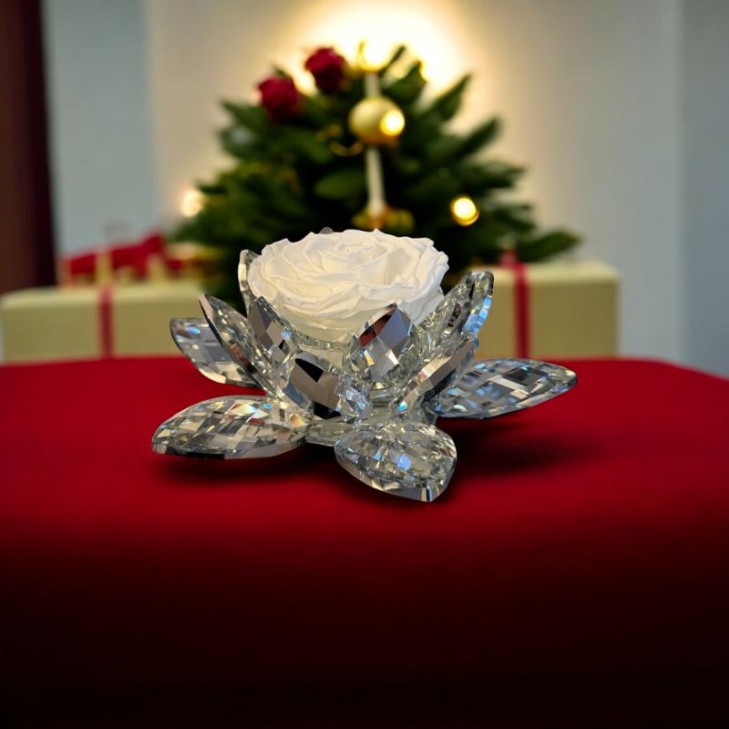 White Lotus con rosa bianca 02