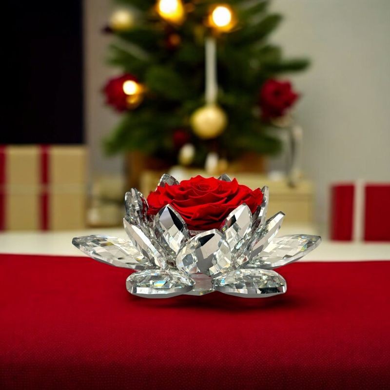 White Lotus con rosa rossa 03