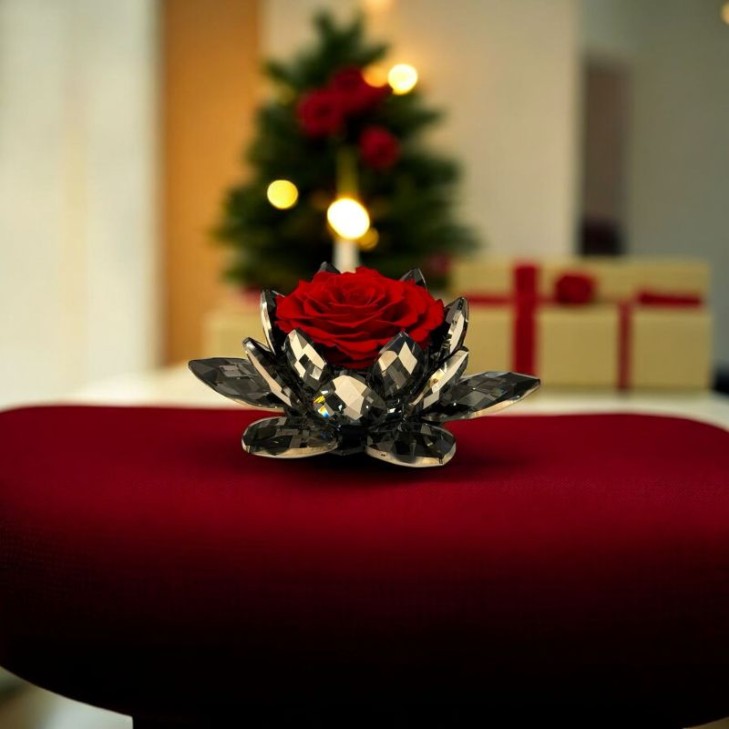 Black Lotus con rosa rossa 02