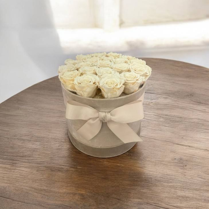 Cappelliera velluto miele con 12 rose stabilizzate color crema 03