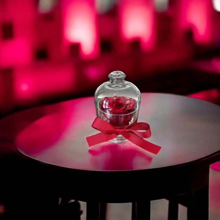 Cloche - Campana con rosa color rosso