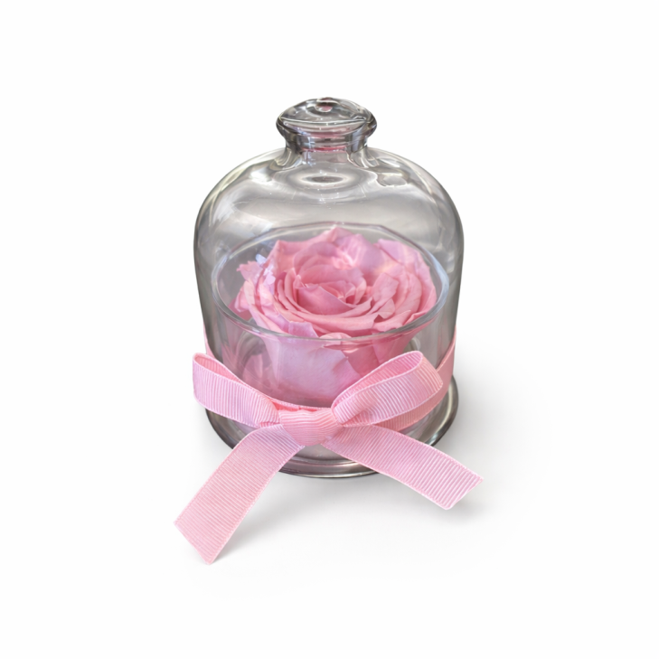 Cloche - Campana con rosa color rosa