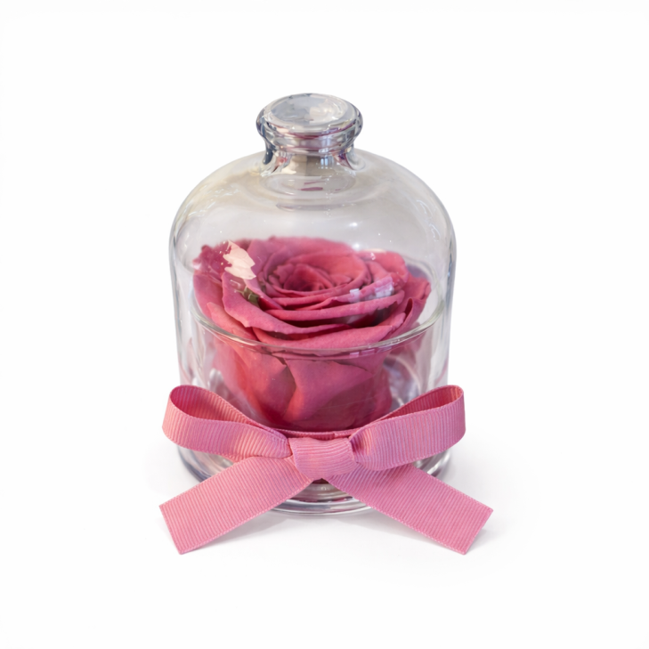 Cloche - Campana con rosa color rosa antico