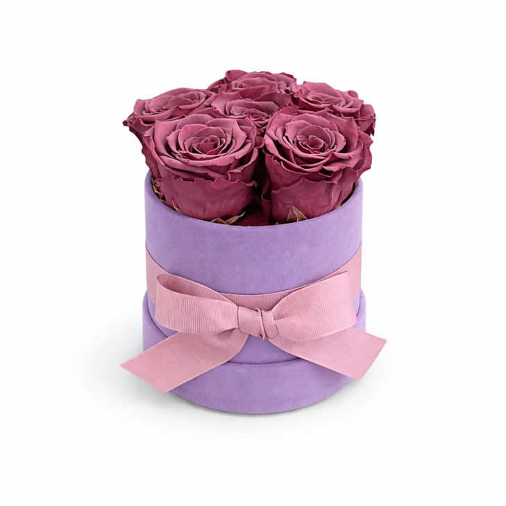 Cappelliera velluto malva con 6 rose stabilizzate color rosa 01