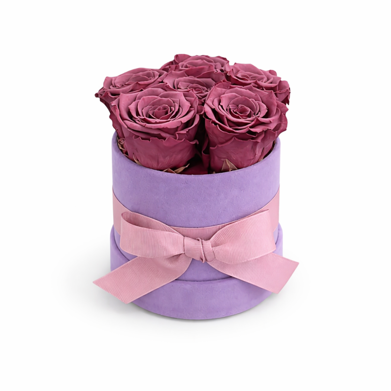 Cappelliera velluto malva con 6 rose stabilizzate color rosa 01