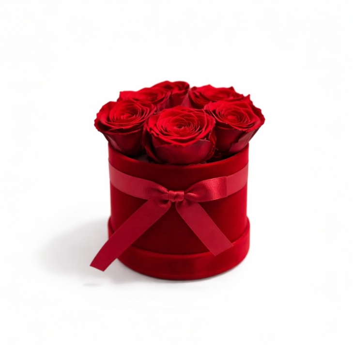 Cappelliera velluto rosso - 6 rose rosse stabilizzate - 01