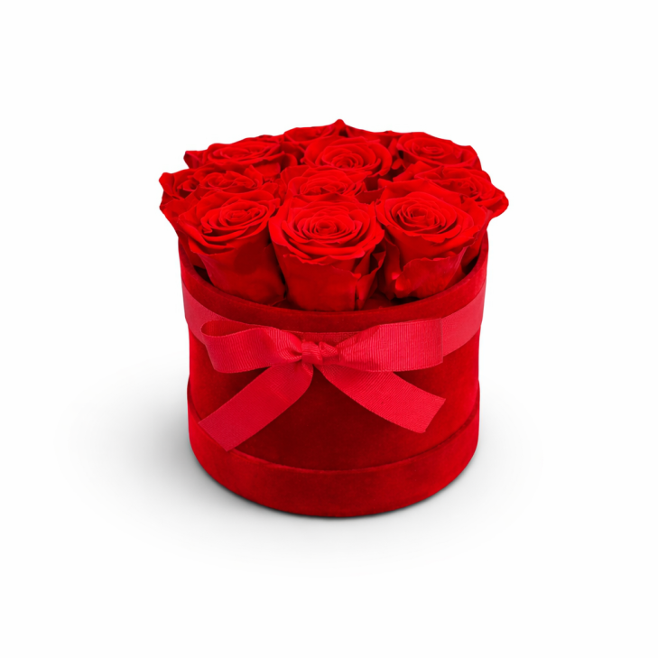 Cappelliera velluto rosso - 9 rose rosse stabilizzate - 03