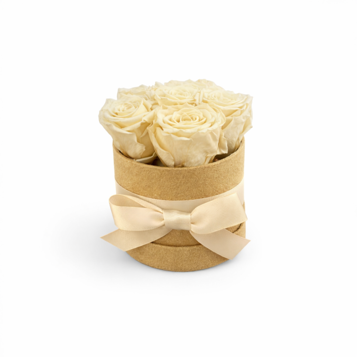 Cappelliera velluto miele con 6 rose stabilizzate color crema 01