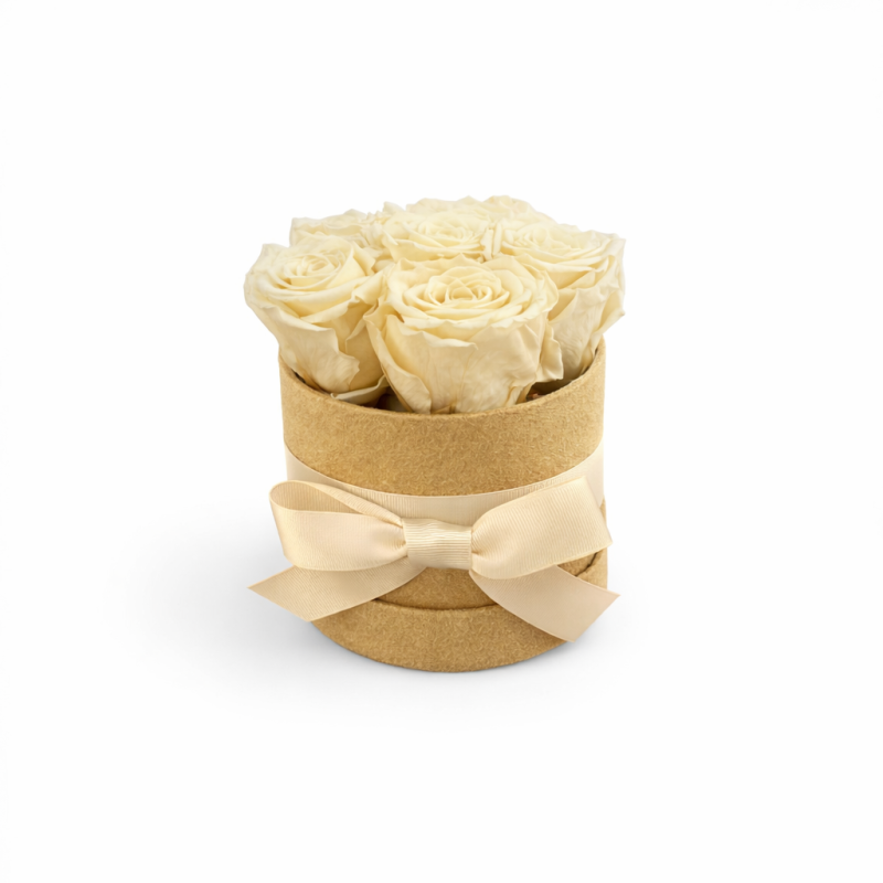 Cappelliera velluto miele con 6 rose stabilizzate color crema 01