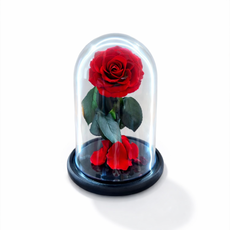 Belle 01 - Campana con rose su stelo color rosso