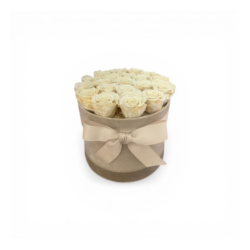Cappelliera velluto miele con 12 rose stabilizzate color crema 03