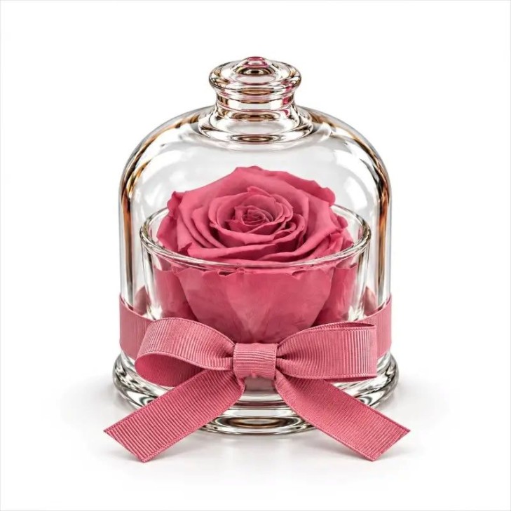 Cloche - Campana con rosa color rosa antico